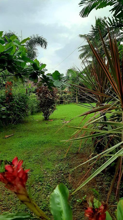 Travis Post Homestay Siquijor Luaran gambar