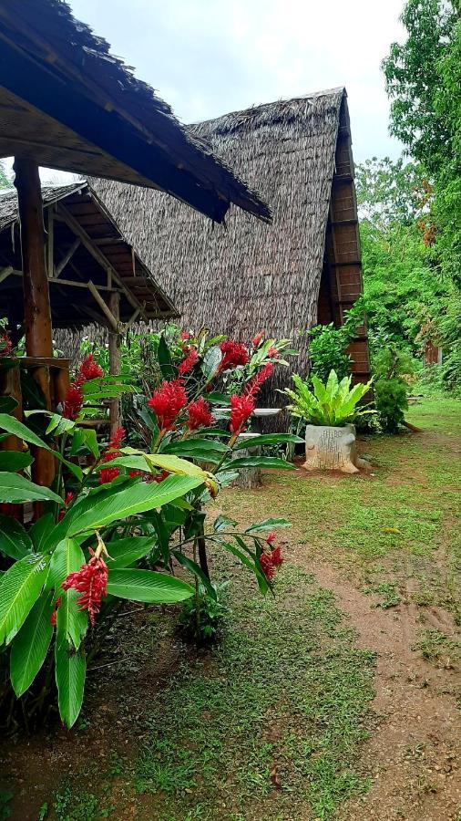 Travis Post Homestay Siquijor Luaran gambar