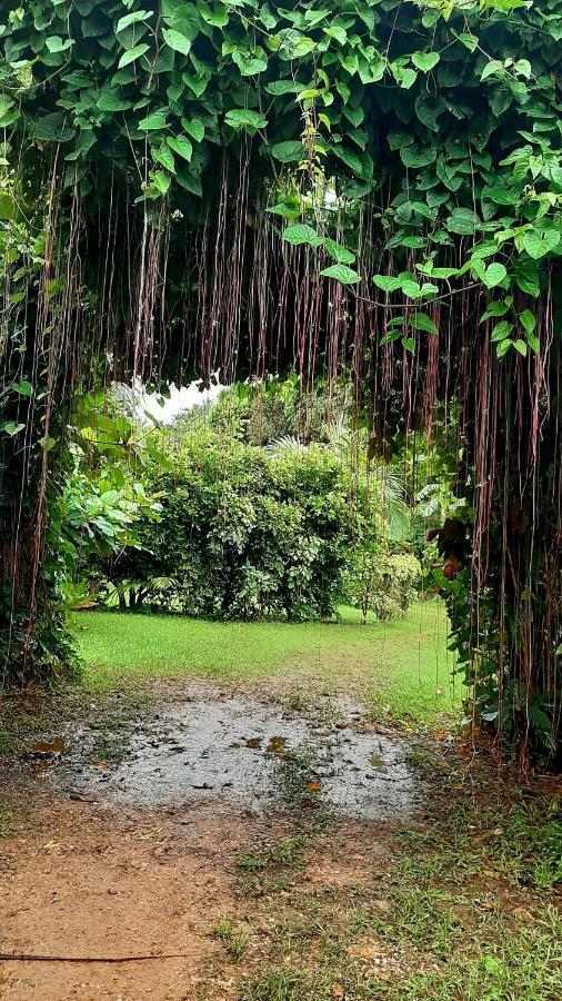 Travis Post Homestay Siquijor Luaran gambar